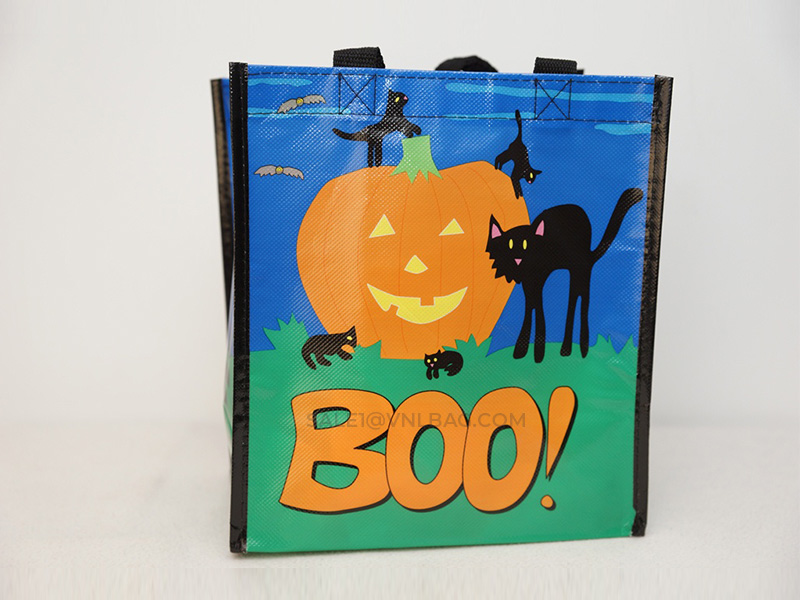PP Non Woven Bag Laminated Small size 2